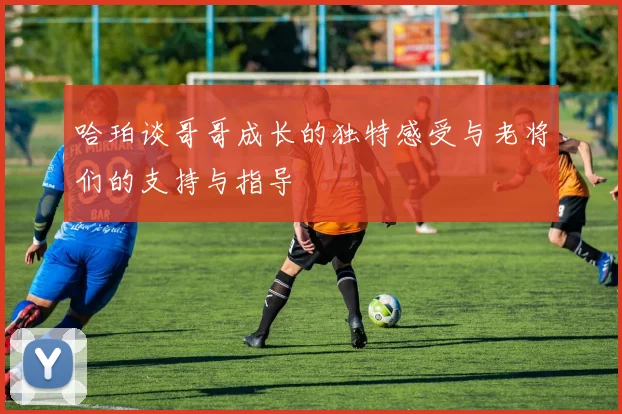 哈珀谈哥哥成长的独特感受与老将们的支持与指导